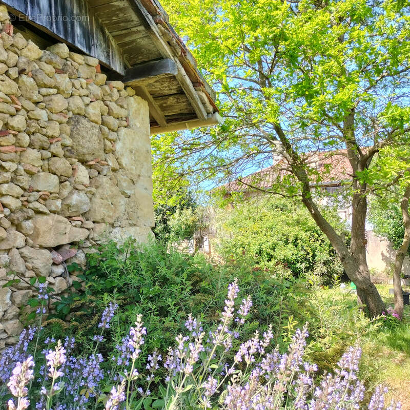 Maison à MASSEUBE