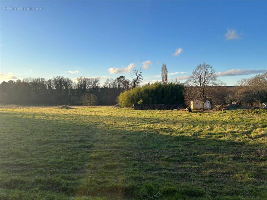 Terrain à LA CHAPELLE-MOULIERE