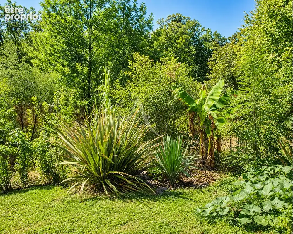 Maison familiale de 140 m² en lisière de forêt à Vouzon - photo 9