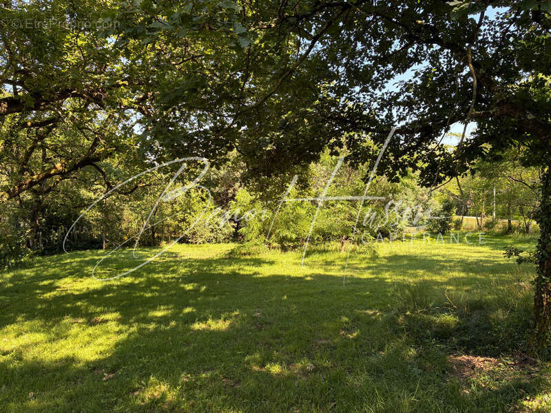 Terrain constructible de 1768m² - Hors lotissement - photo 3