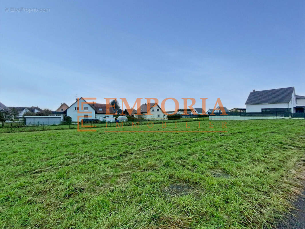 Terrain à HOCHSTATT