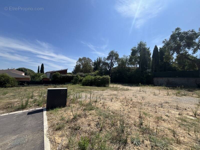 Terrain à MONTPELLIER