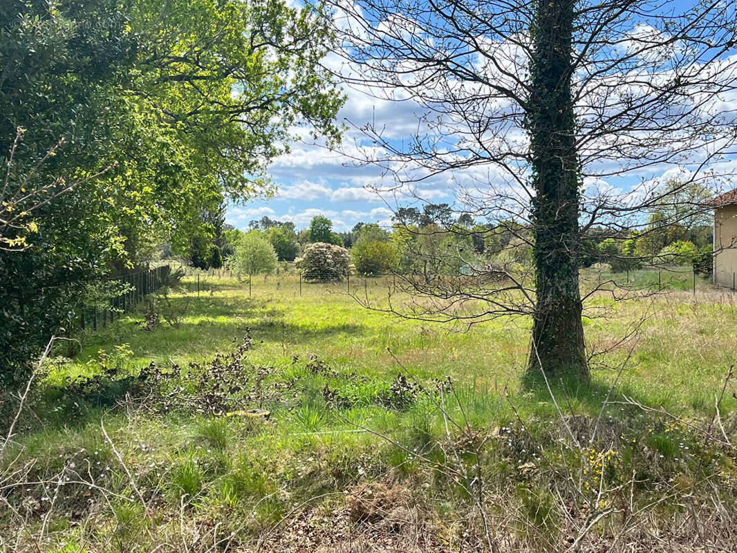 Terrain à LIT-ET-MIXE