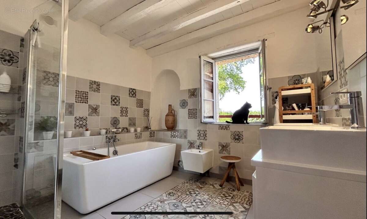 Superbe maison de caractere du 18ème de type t7 de 275 m2 + exceptionnelle dependance de 117 m2 comprenant veranda, open space,  - photo 11