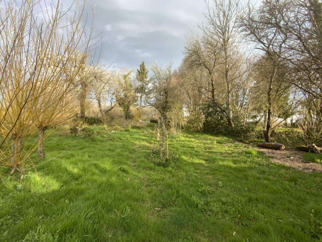 Maison à LA CELLETTE