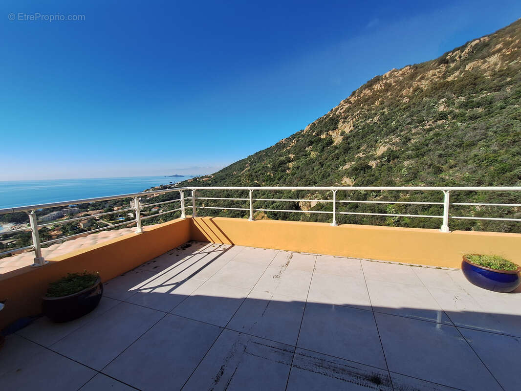 Ajaccio Sanguinaires magnifique duplex récent de 180 m2 avec vue panoramique - photo 12