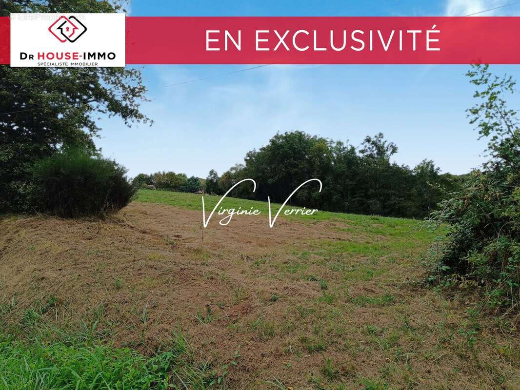 Terrain à SAINT-CYPRIEN