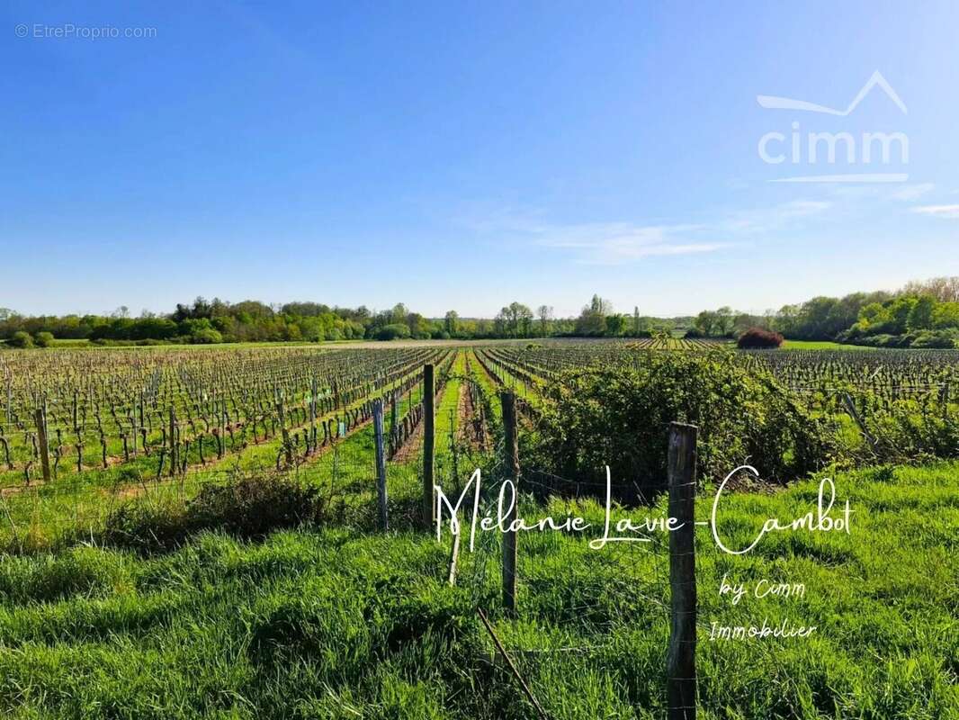 Maison à BRAUD-ET-SAINT-LOUIS