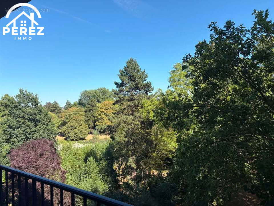 Appartement 2 chambres   61M2   Centre Ville   Balcon - photo 9