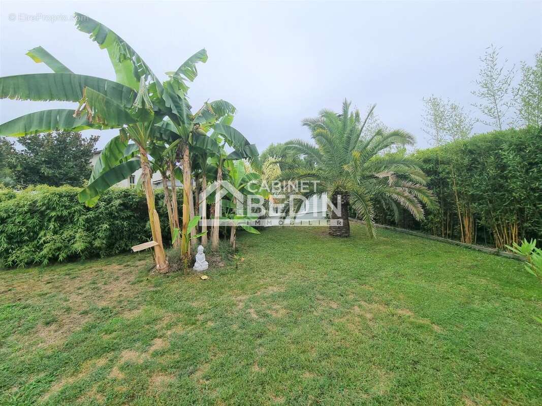 Maison à SAINT-PAUL-LES-DAX