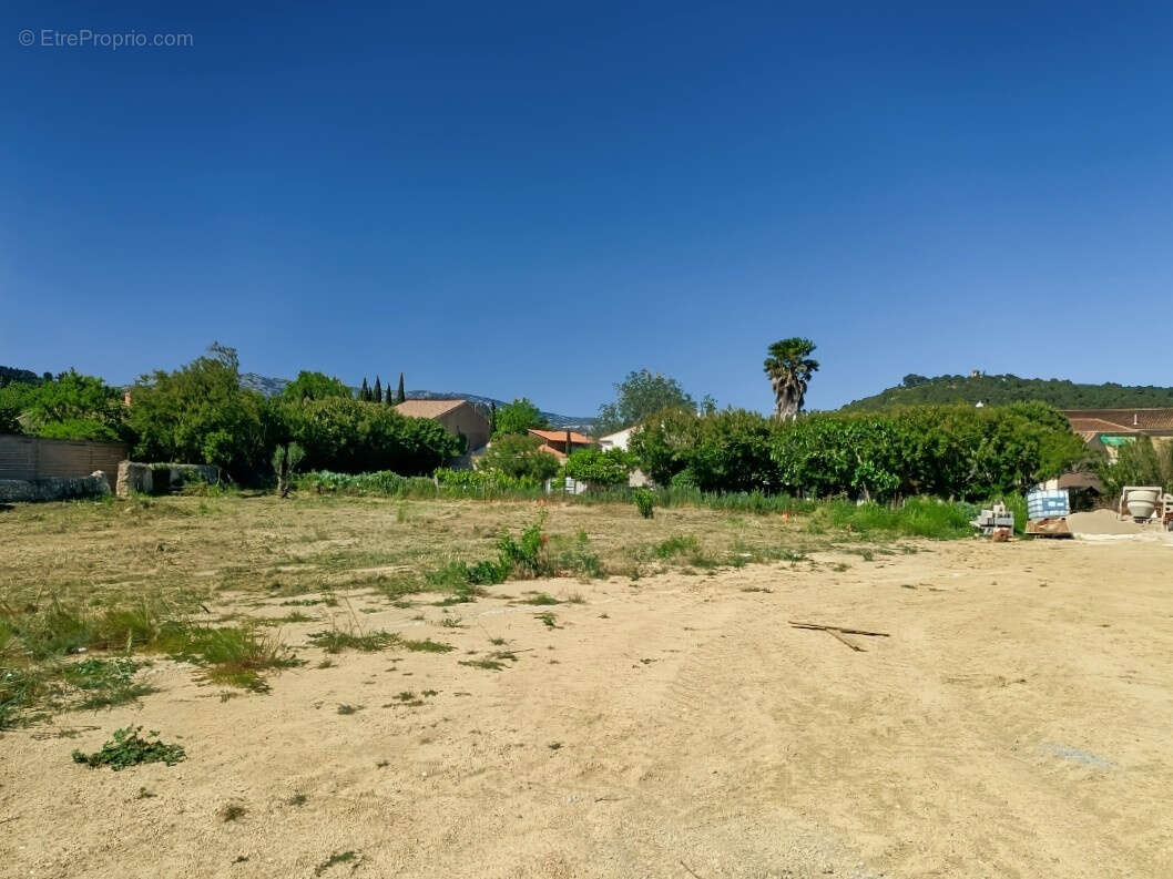 Entre la Palme et Sigean,, très beau terrain constructible et viabilisé - photo 3