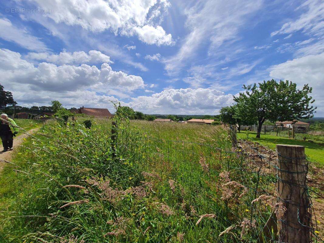 Terrain à Bâtir - CU en main - photo 5
