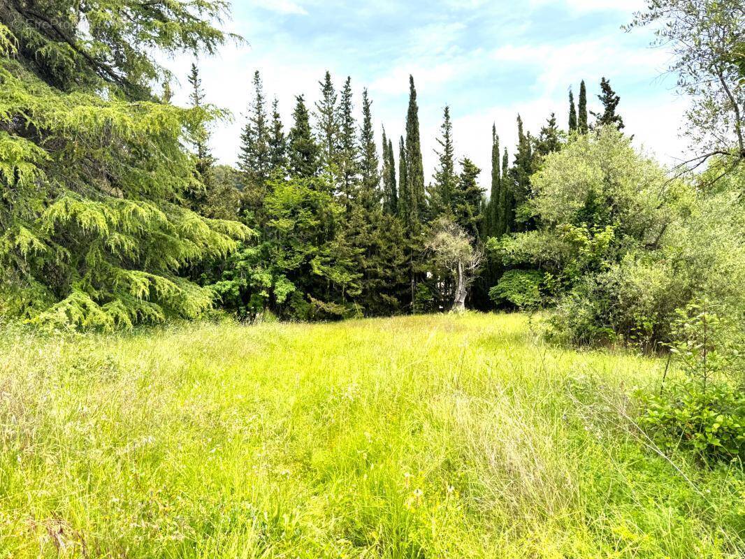 Terrain à TOURRETTE-LEVENS