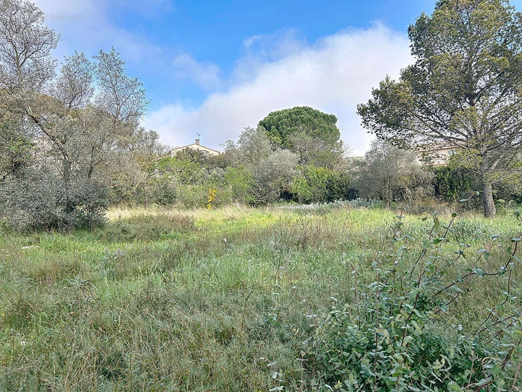 Terrain à VILLENEUVE-LES-AVIGNON