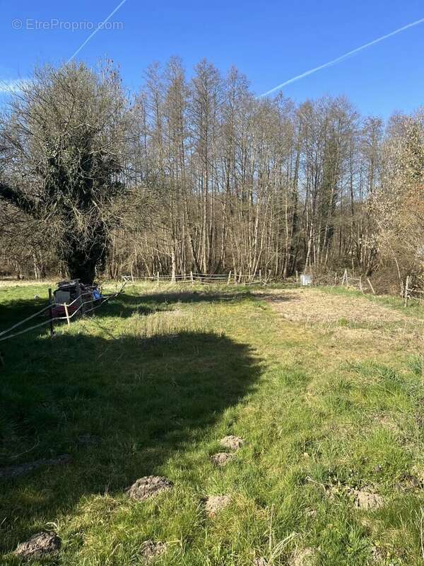 Terrain à RAIZEUX