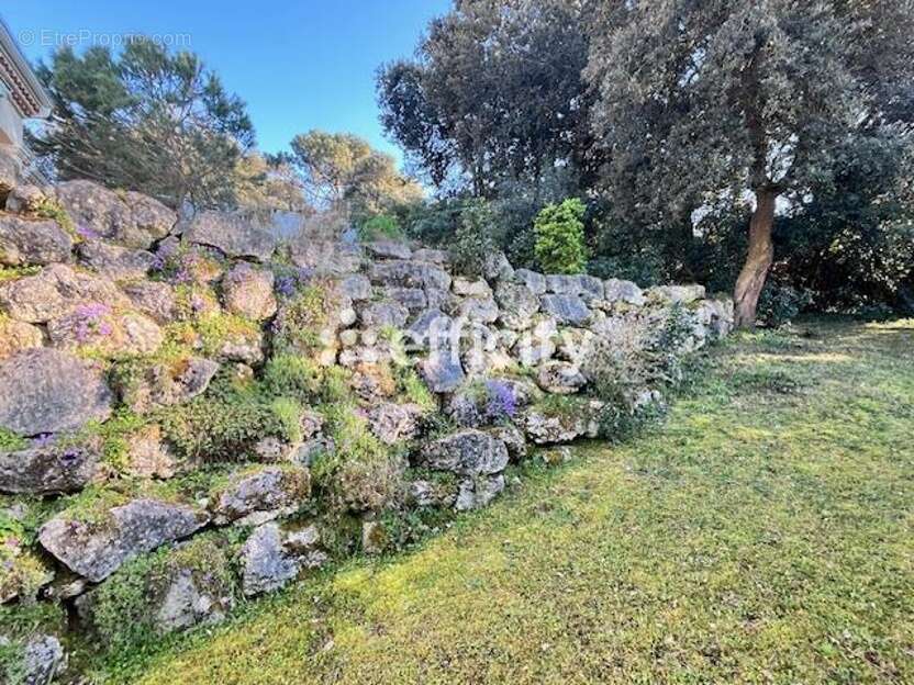 Maison à MESCHERS-SUR-GIRONDE