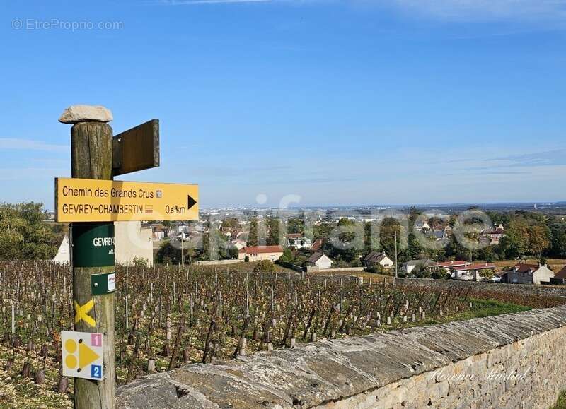 Maison à GEVREY-CHAMBERTIN