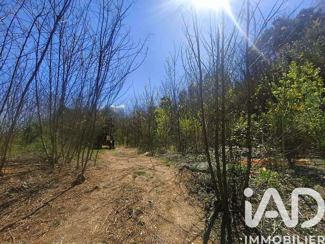 Photo 4 - Terrain à CHAMBONAS