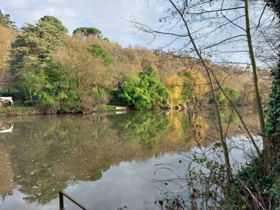 Terrain à SAINT-JACQUES-DE-THOUARS