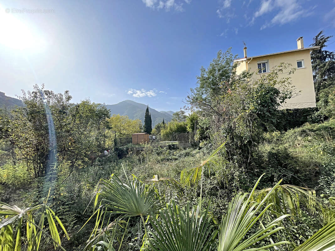 Terrain à AMELIE-LES-BAINS-PALALDA