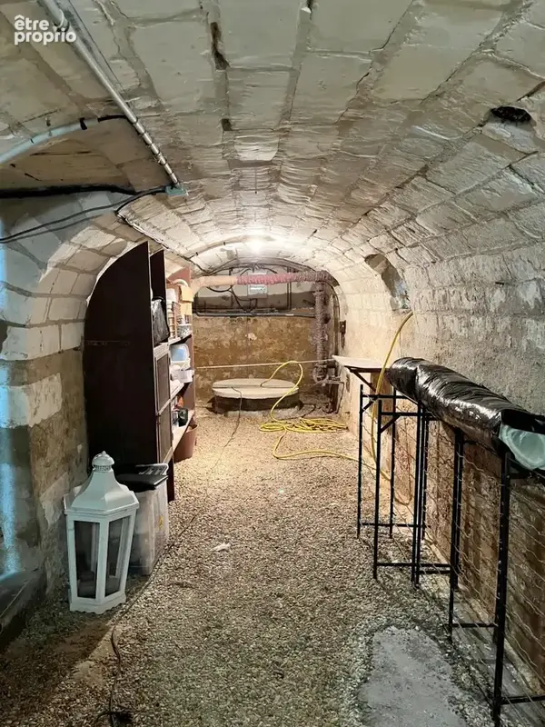 District de SENS, tout commerce à pied:  TRÈS JOLIE MAISON BOURGEOISE de 180 m2  son vaste salon et ses 4 cham - photo 21