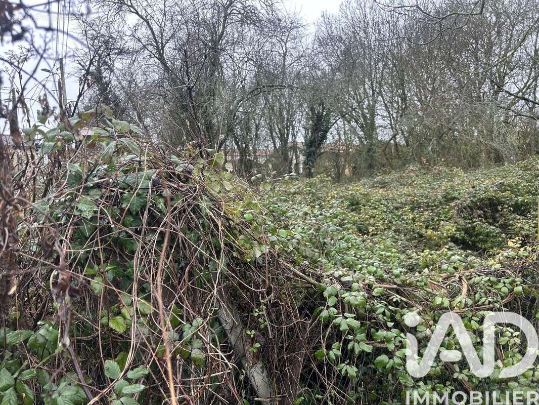 Photo 5 - Terrain à MAINE-DE-BOIXE