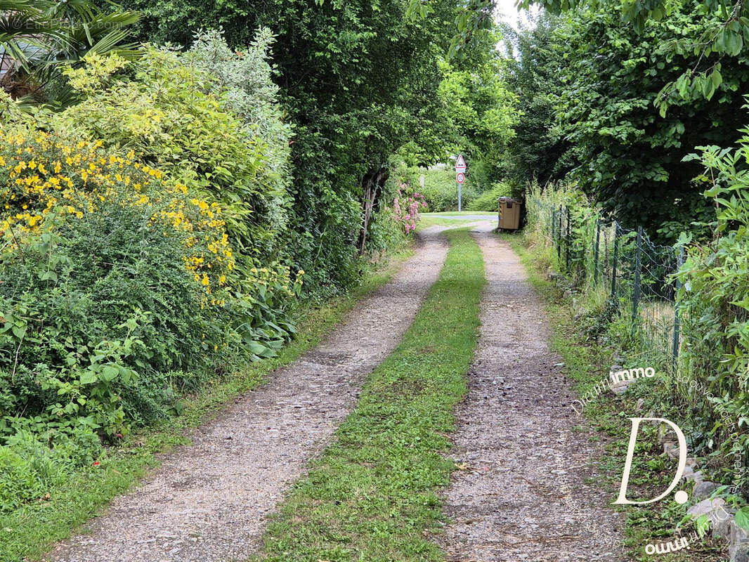 chemin menant à la maison 