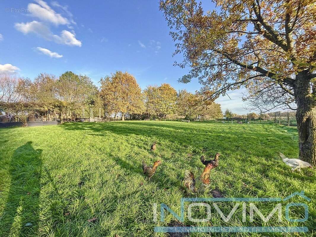 Appartement à BOURBOURG