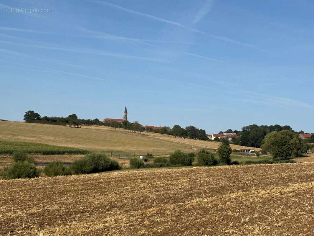 JALLAUCOURT – Terrains constructibles - photo 3