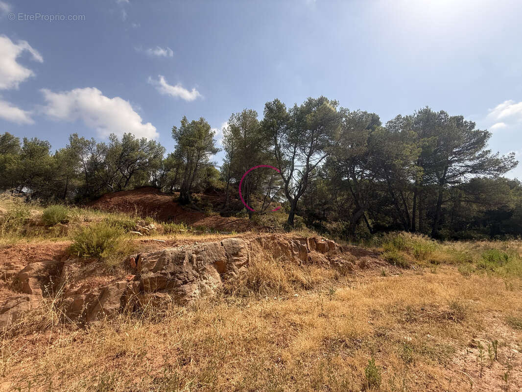 Terrain avec villa 263 m2 - photo 2