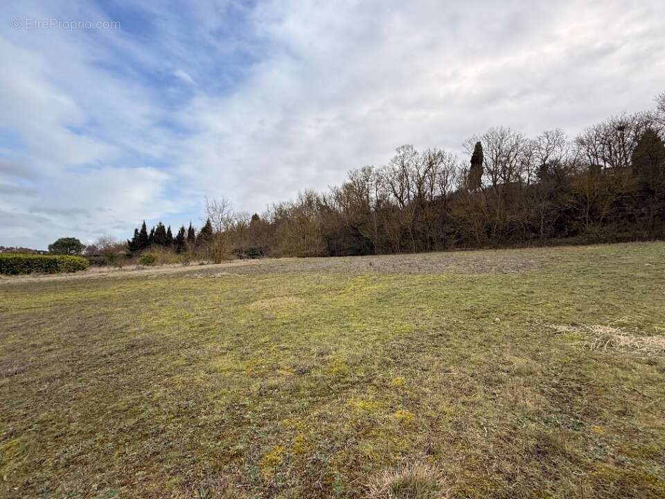 Terrain à SAINT-MARTIN-LALANDE