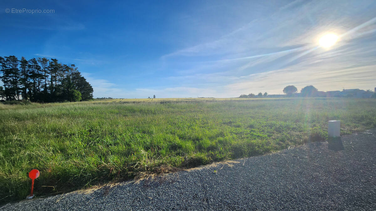Terrain à MORNAC-SUR-SEUDRE