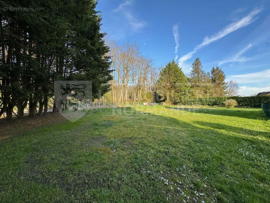 Terrain à REUILLY