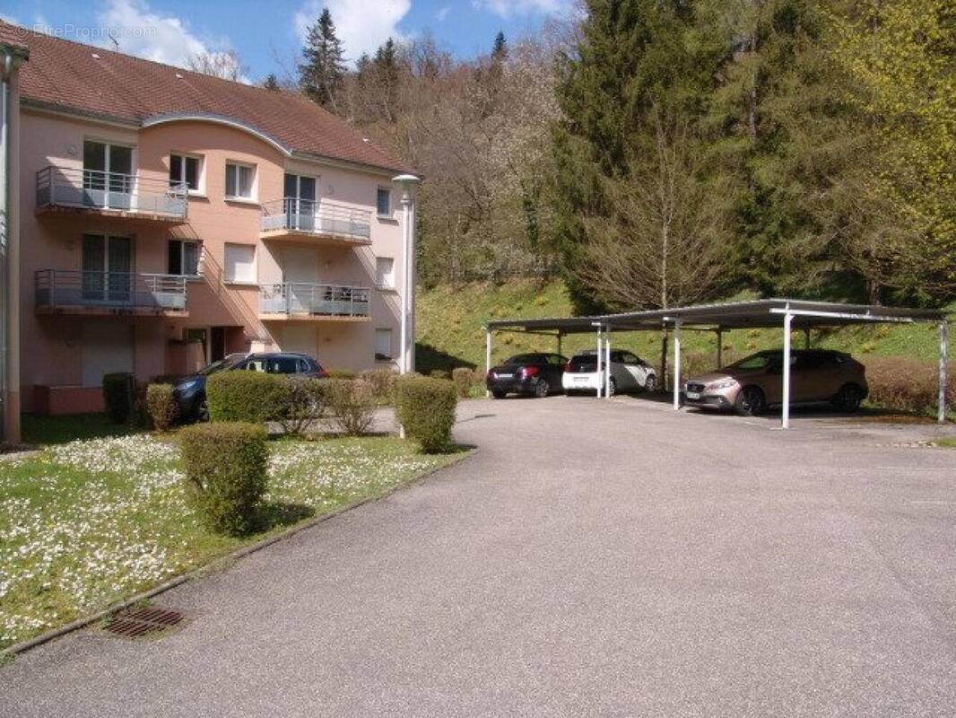 Photo 1 - Appartement à BAVANS