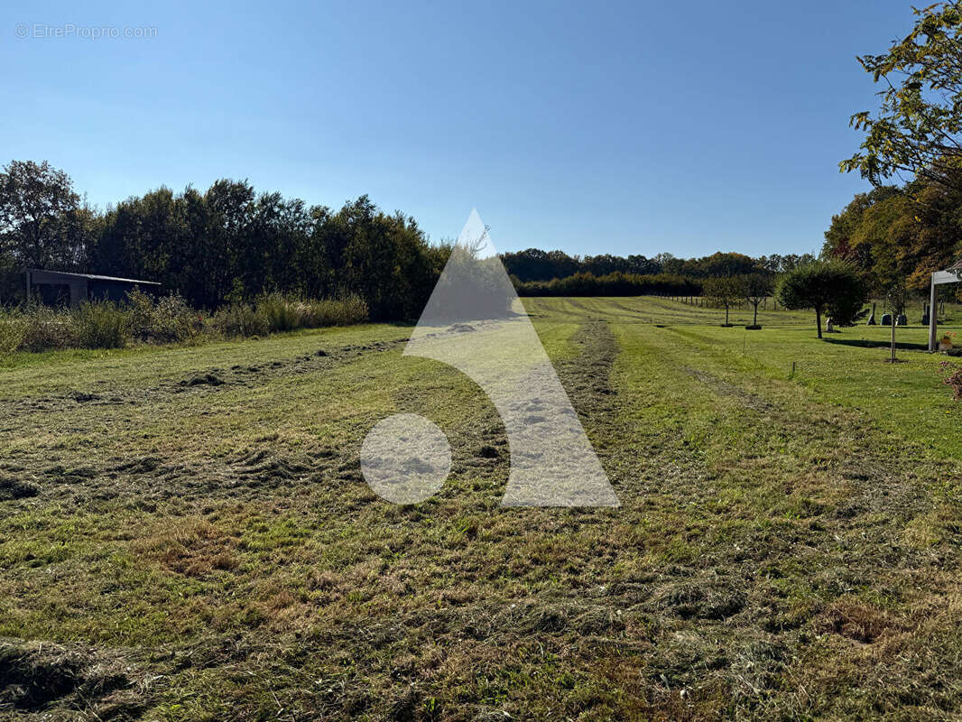 Terrain à FONTENELLE