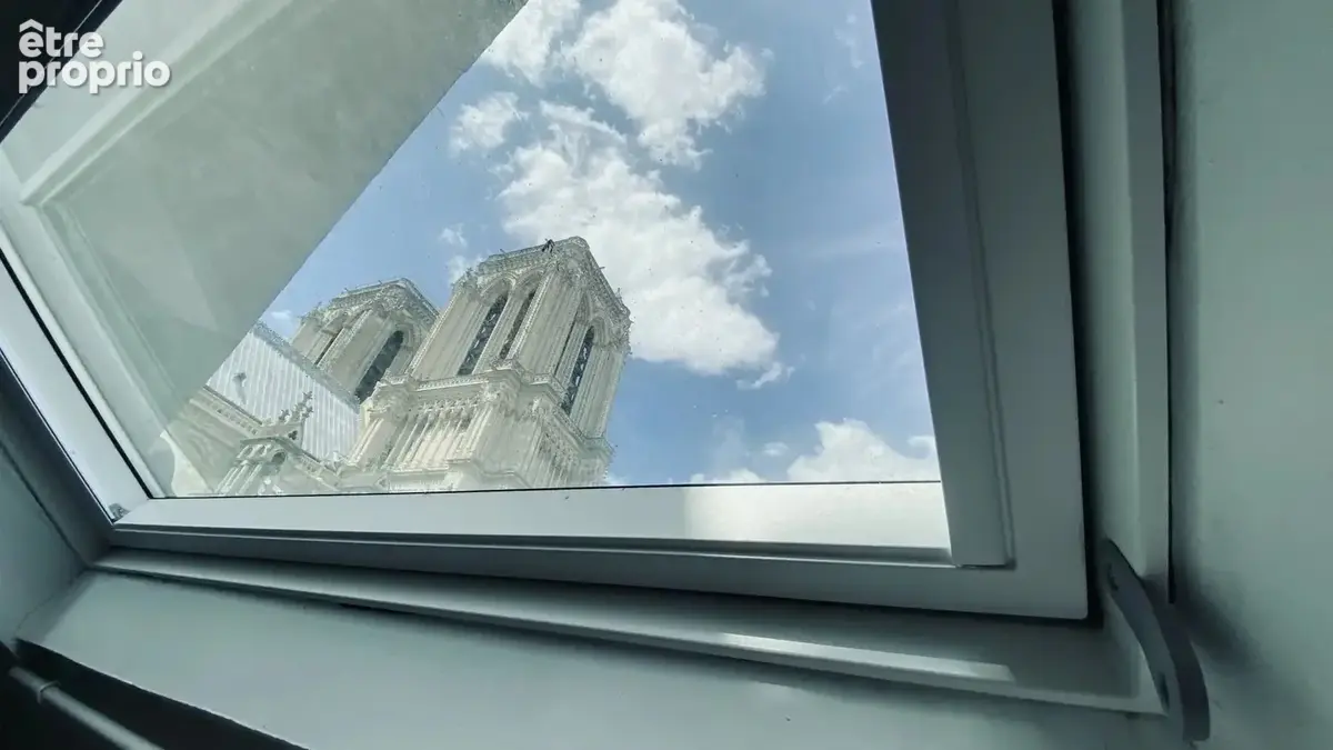Un nid a notre dame - photo 8