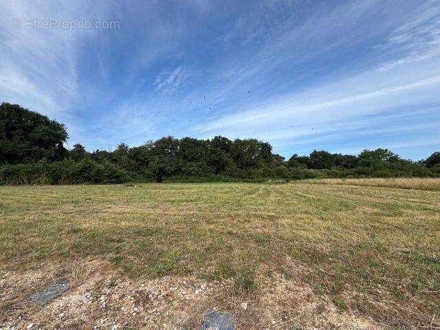 Terrain à SAINT-PALAIS-SUR-MER