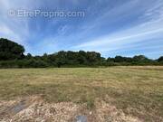 Terrain à SAINT-PALAIS-SUR-MER