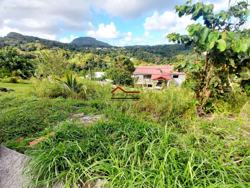 Terrain à RIVIERE-PILOTE