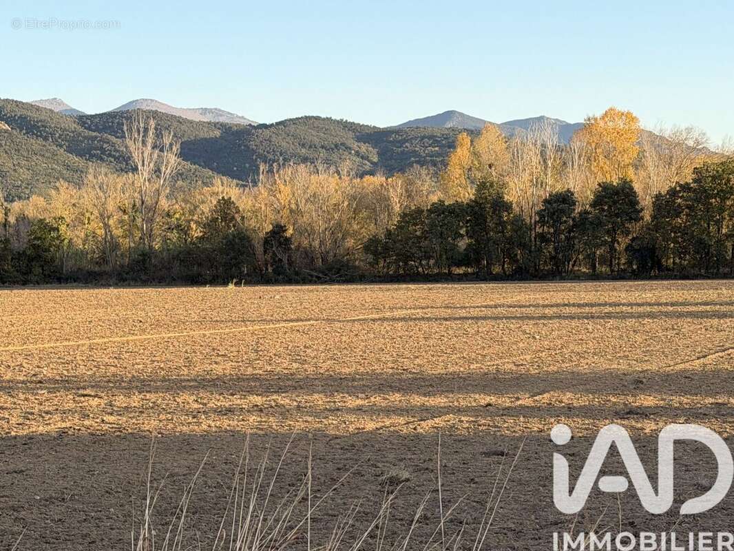 Photo 9 - Maison à SAINT-JEAN-PLA-DE-CORTS