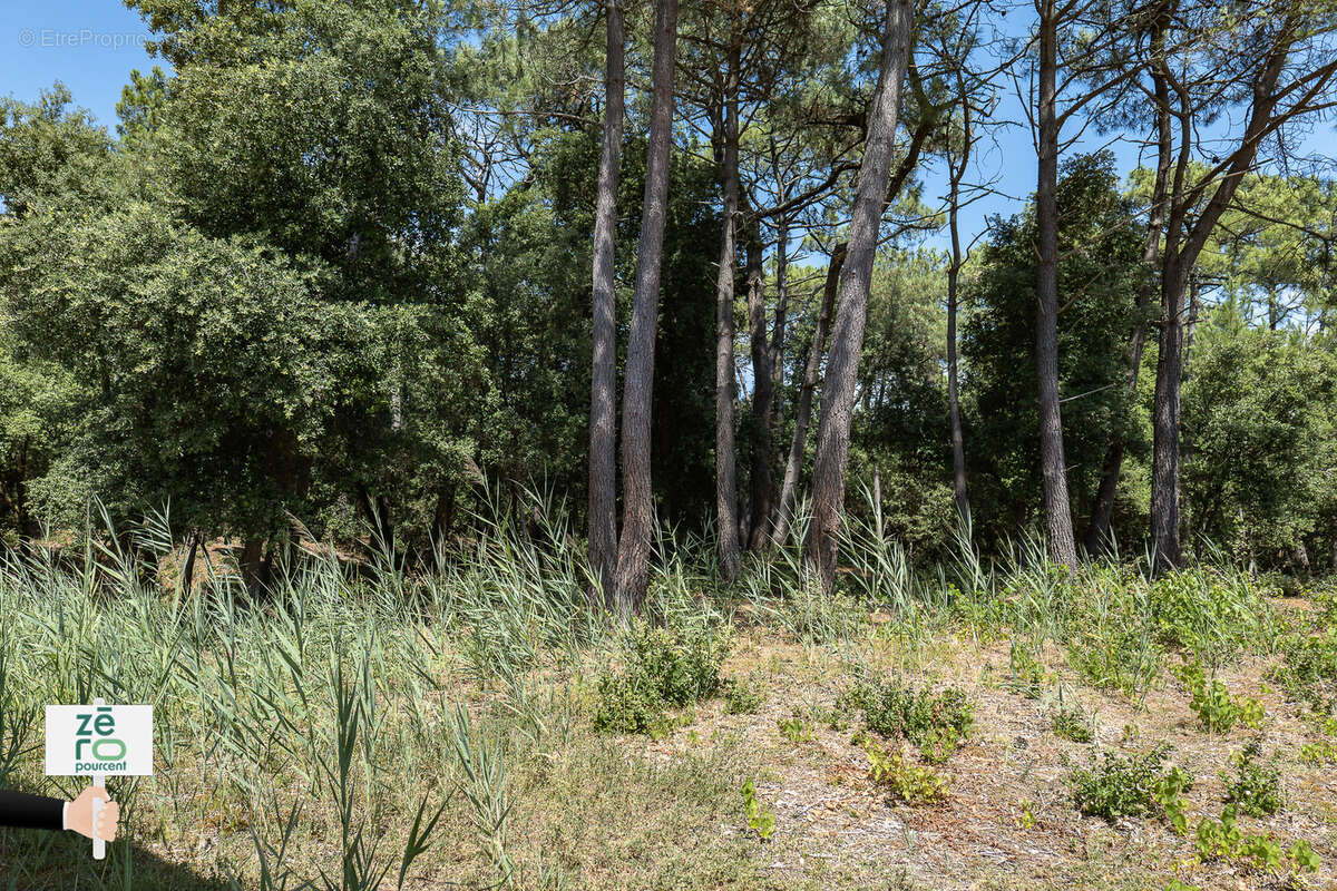 Terrain à LA TRANCHE-SUR-MER