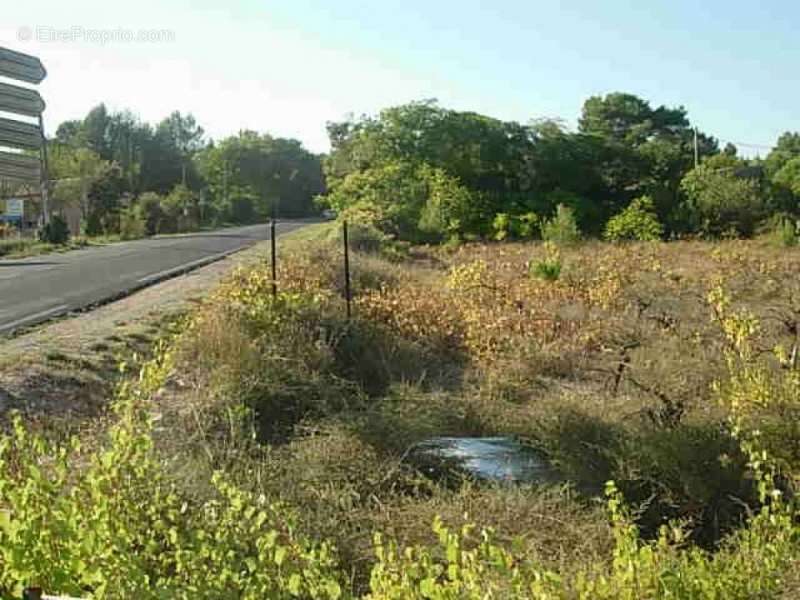 Terrain à CLERMONT-L&#039;HERAULT