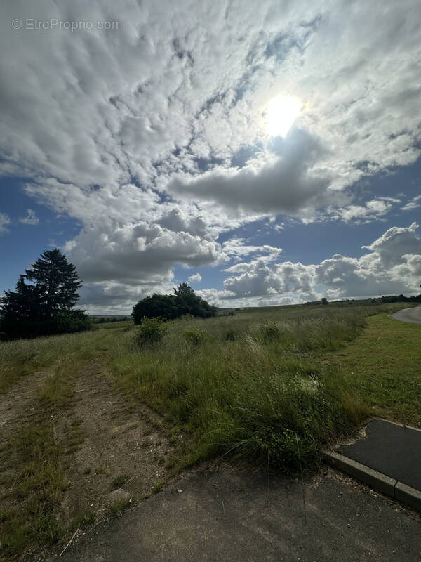 Terrain à CHATEAU-SALINS