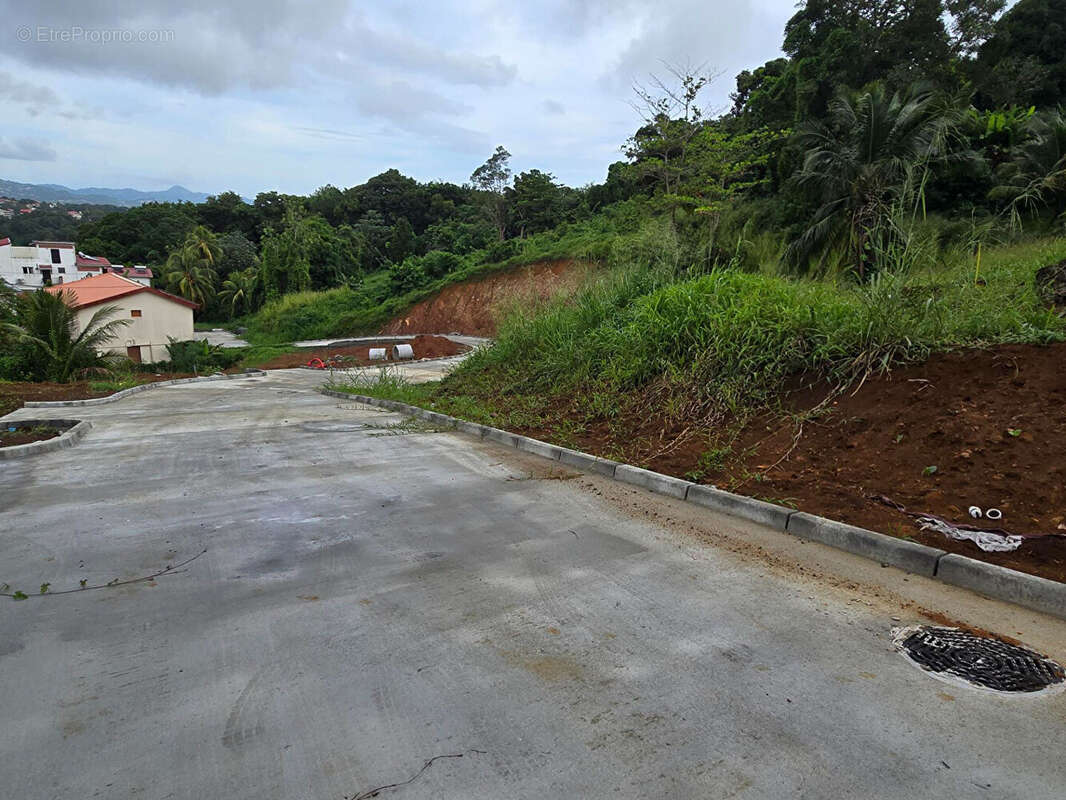 Terrain à FORT-DE-FRANCE