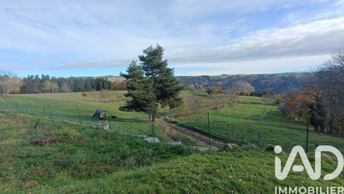 Photo 1 - Maison à TIRANGES