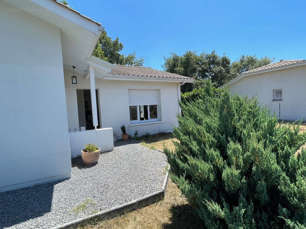 Maison à SANGUINET