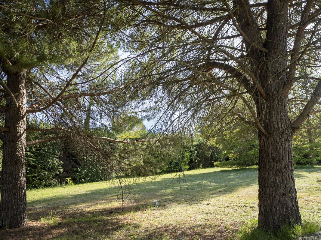 A VENDRE - EXCLUSIVITE - St Michel l'Observatoire - Terain constructible - 267 750 € FAI - photo 7
