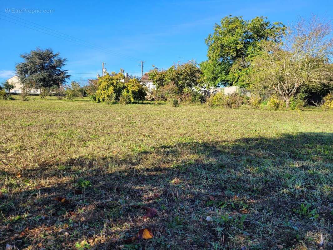 Photo 5 - Maison à VOUILLE