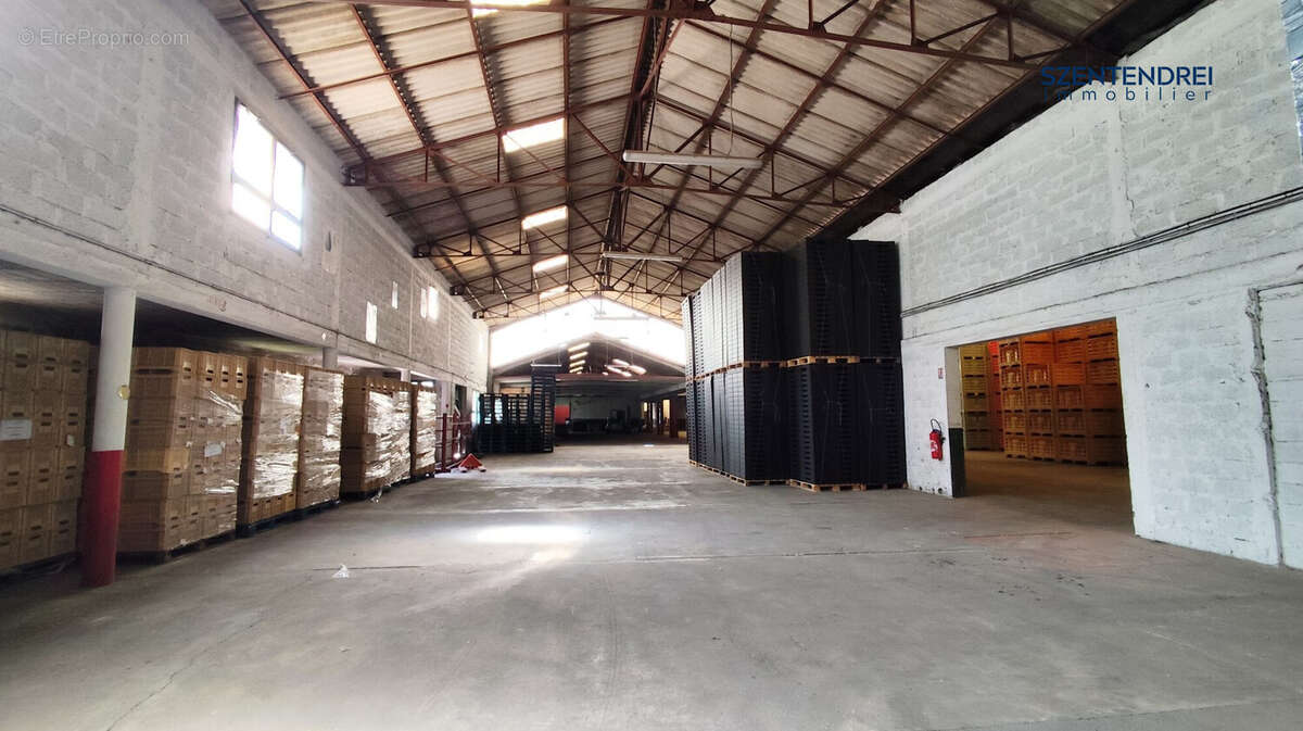 Commerce à PONT-SAINT-ESPRIT