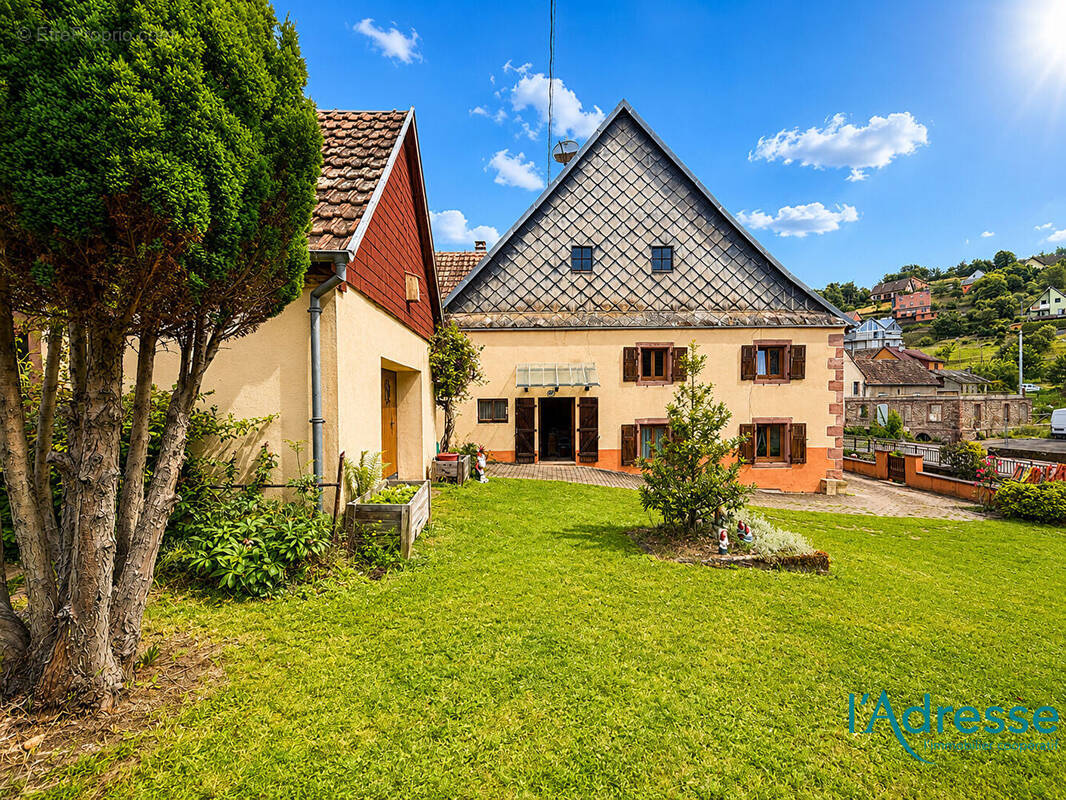 Maison à FRELAND